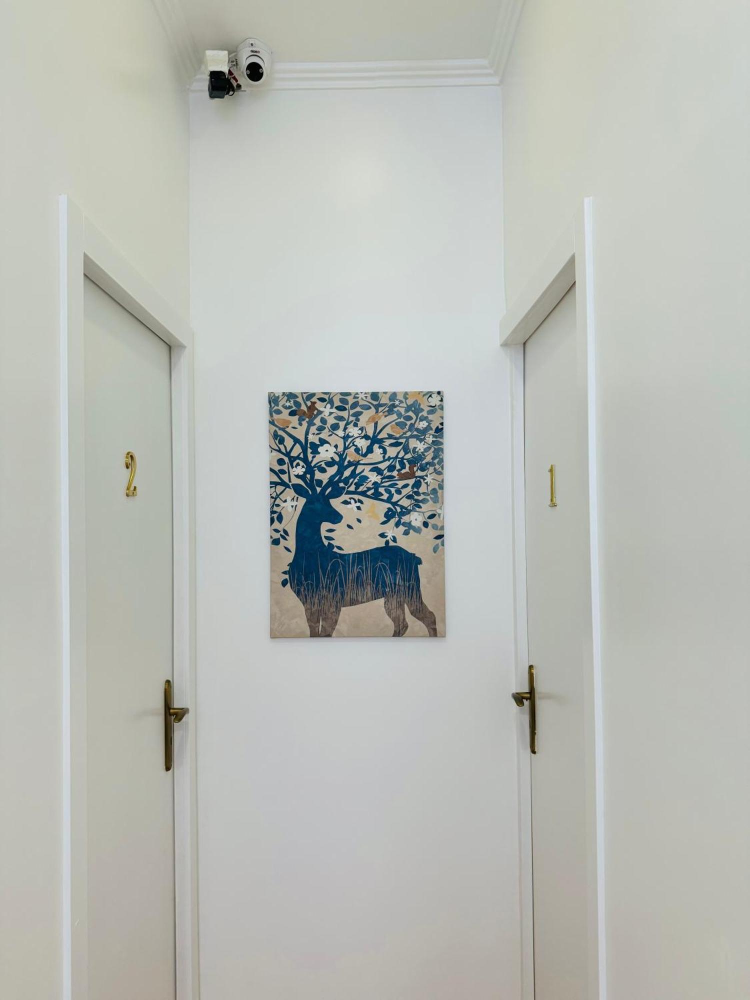 Apartamento Alfama - Lisboa Εξωτερικό φωτογραφία